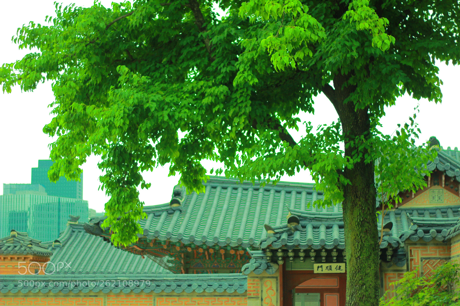 Canon EOS 600D (Rebel EOS T3i / EOS Kiss X5) sample photo. Img photography