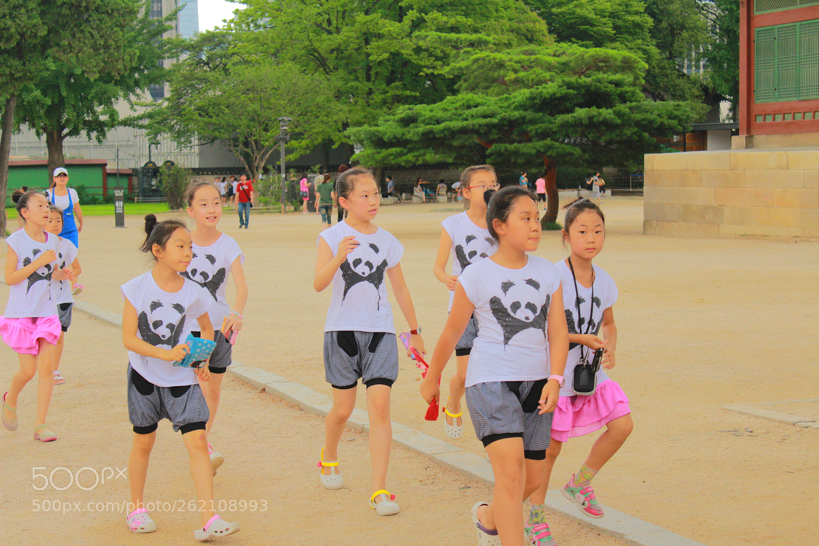 Canon EOS 600D (Rebel EOS T3i / EOS Kiss X5) sample photo. Img photography