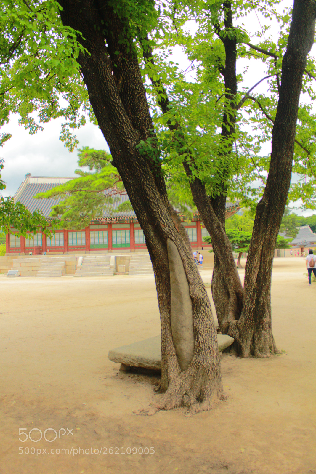 Canon EOS 600D (Rebel EOS T3i / EOS Kiss X5) sample photo. Img photography
