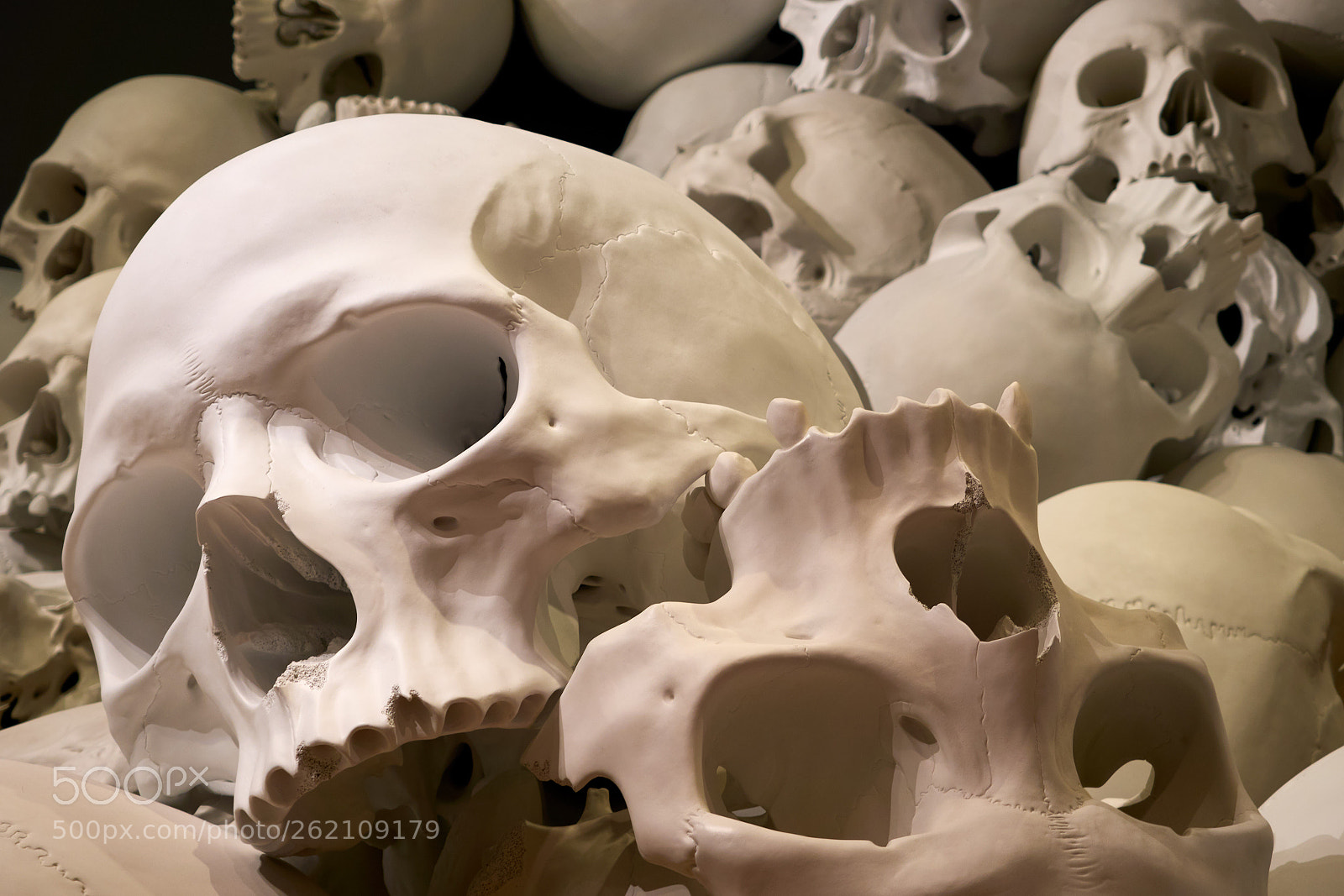 Panasonic Lumix DC-G9 sample photo. Death photography