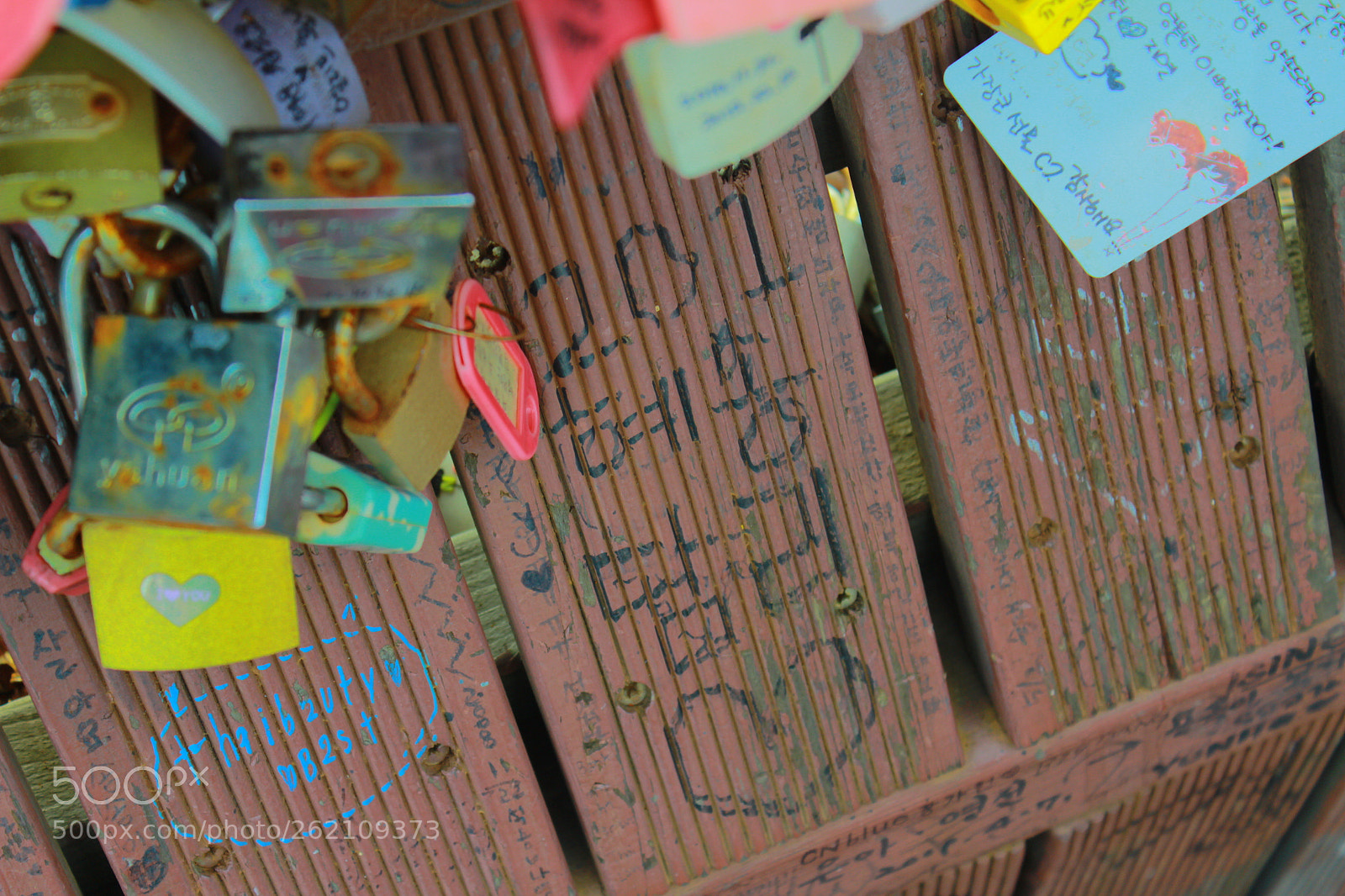 Canon EOS 600D (Rebel EOS T3i / EOS Kiss X5) sample photo. Img photography