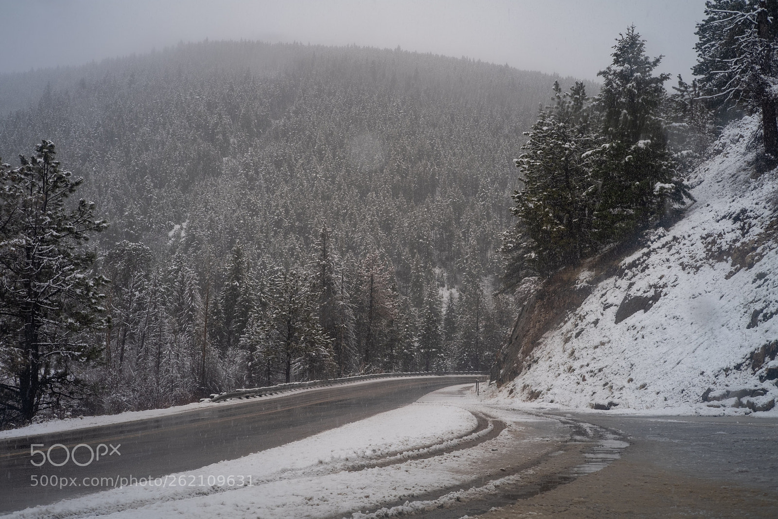 Fujifilm X-H1 sample photo. Snow! photography