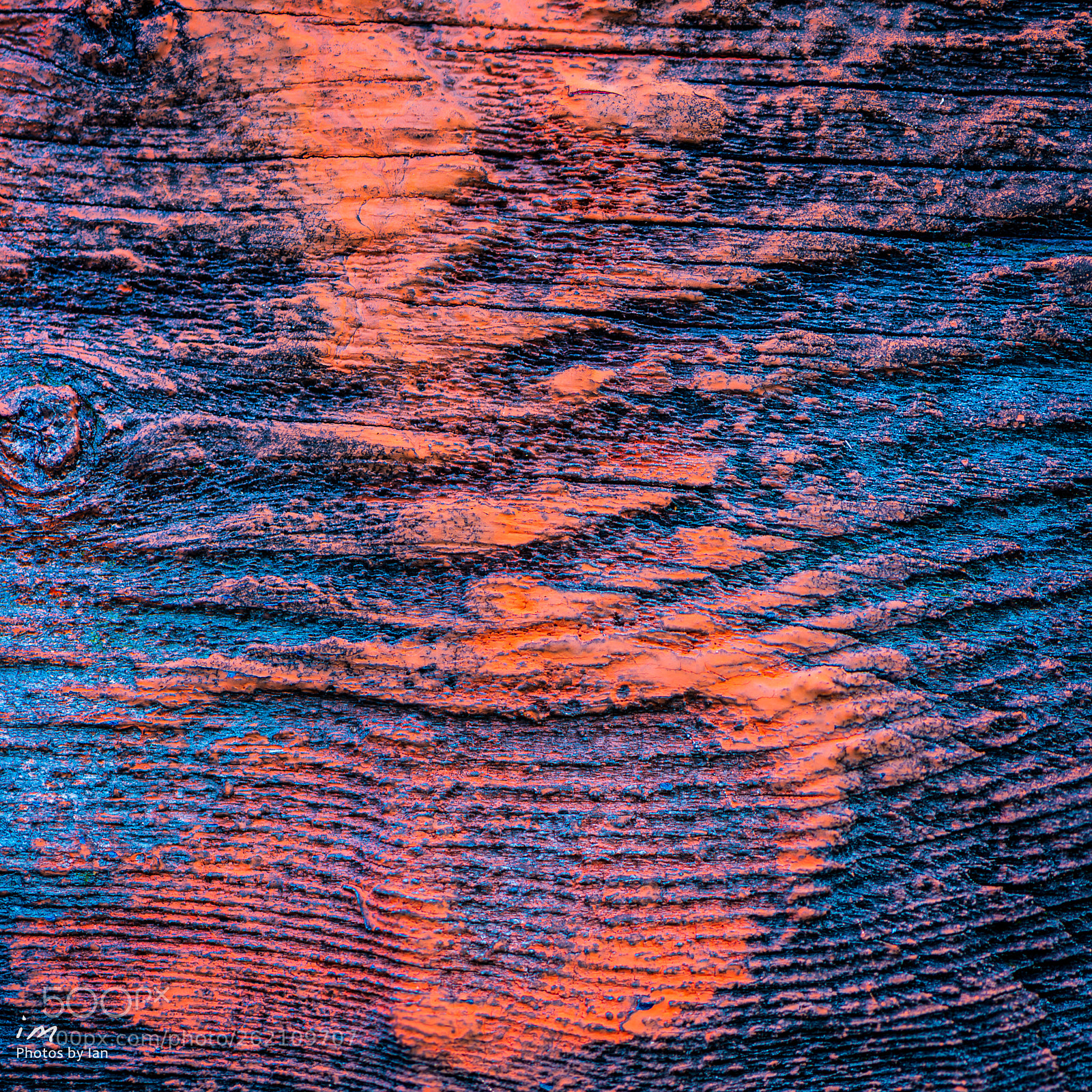 Nikon D610 sample photo. Abstract on barn board photography