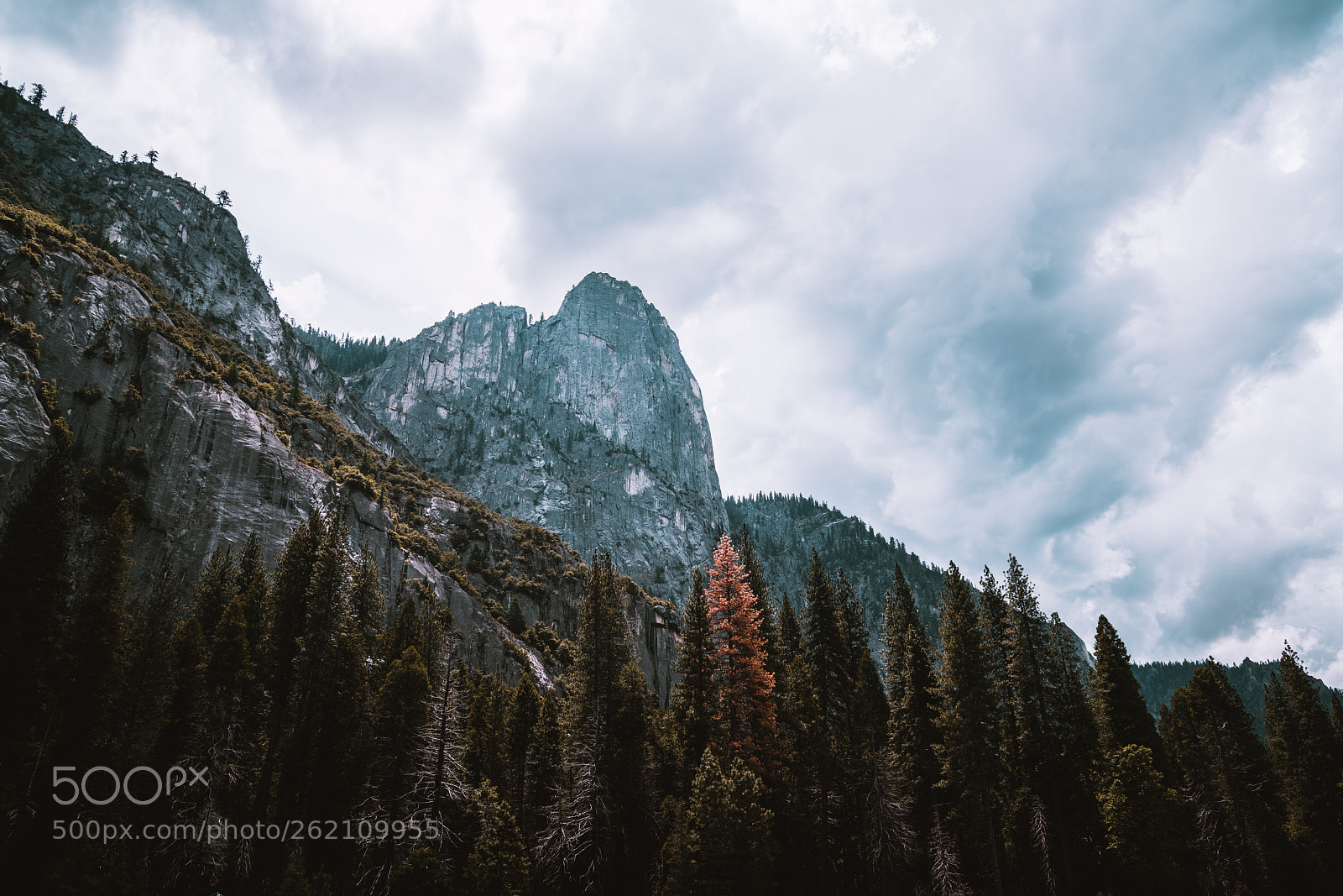 Sony a7R II sample photo. Wonderfulness photography