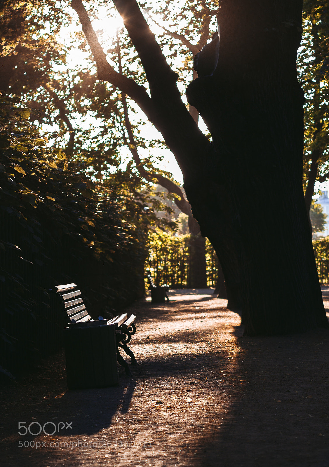 Canon EOS 60D sample photo. Quiet place photography