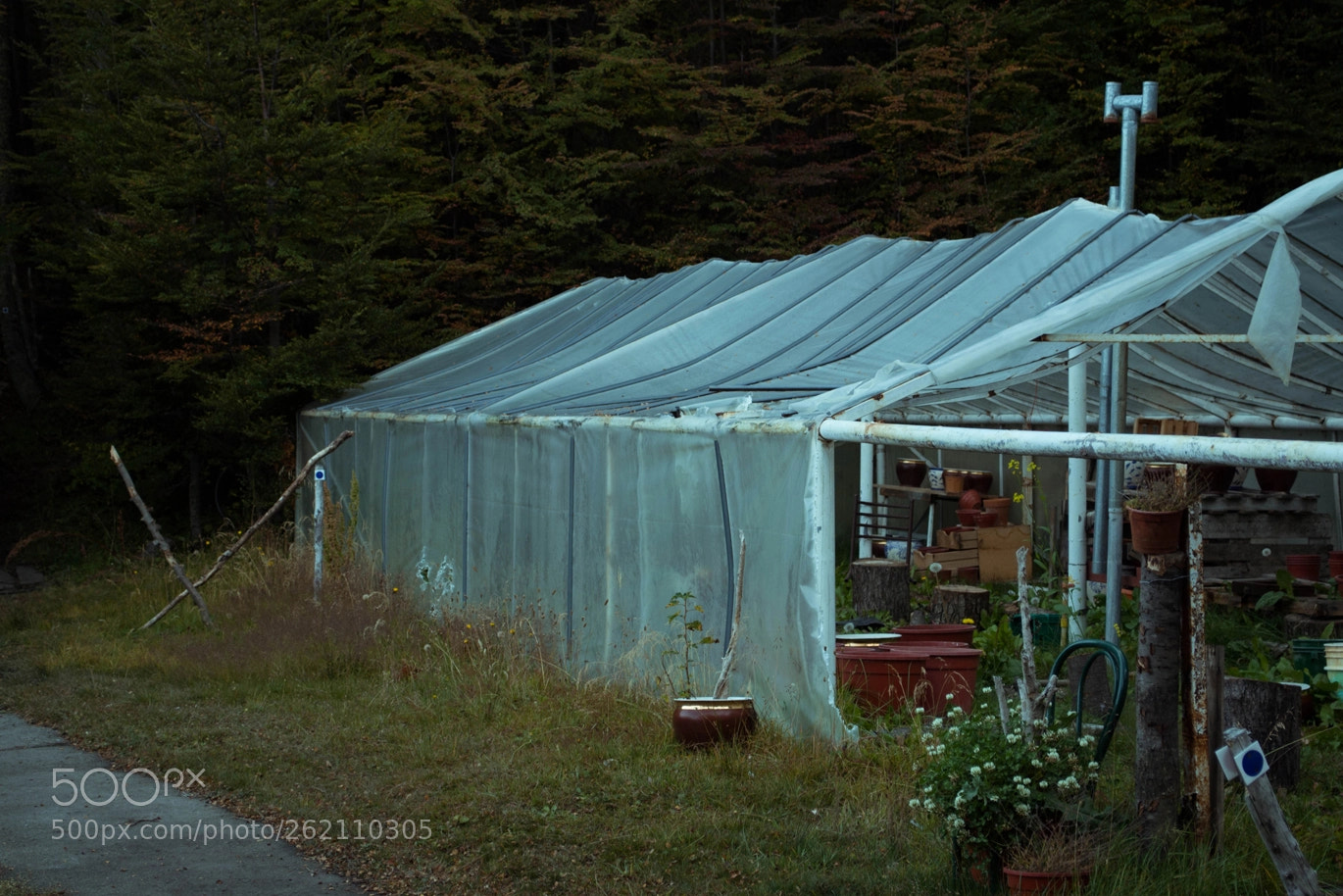 Nikon D3100 sample photo. Greenhouse photography
