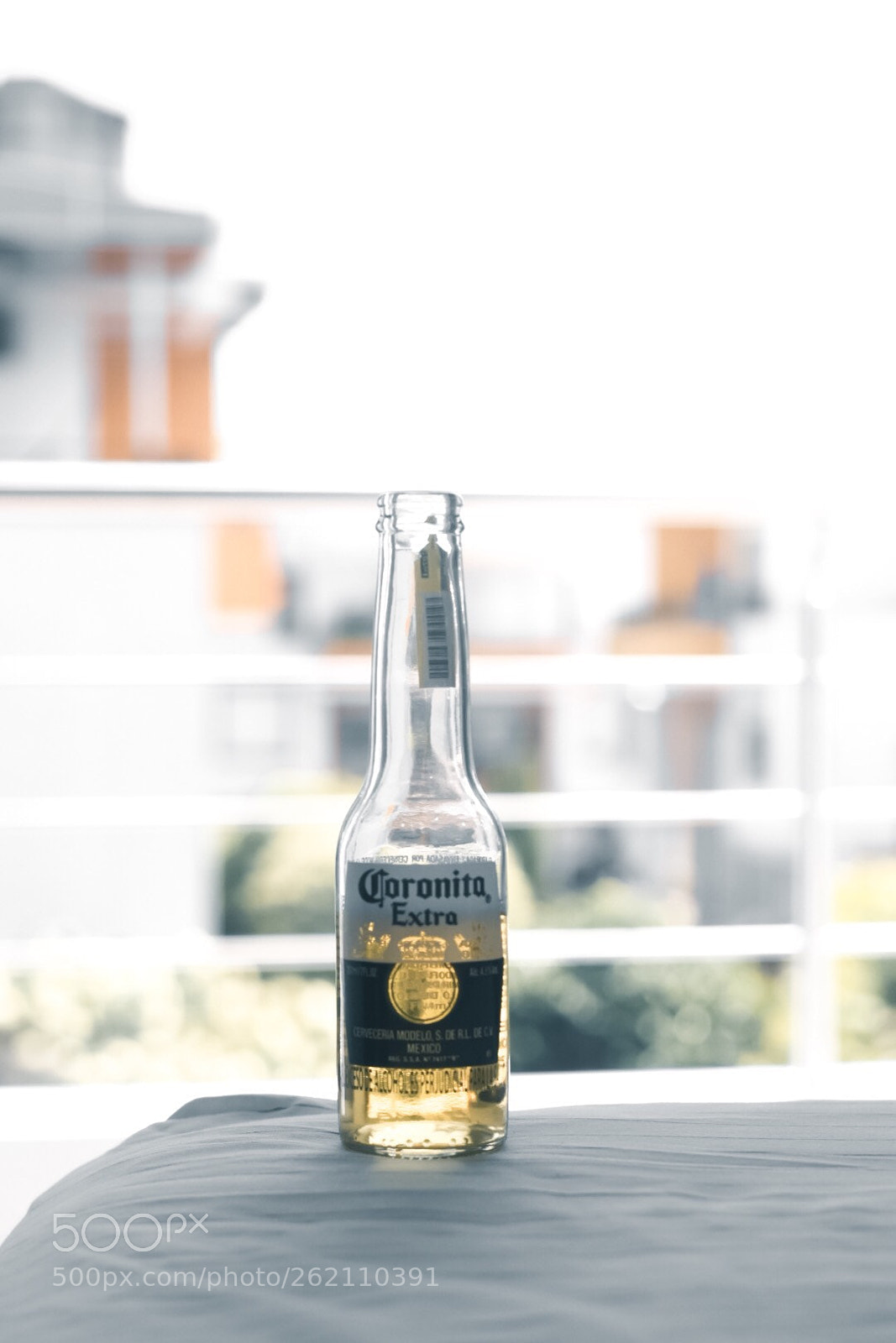 Nikon D5300 sample photo. ? photography