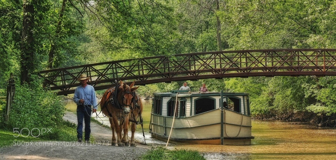Canon EOS 40D sample photo. Along the old canal photography