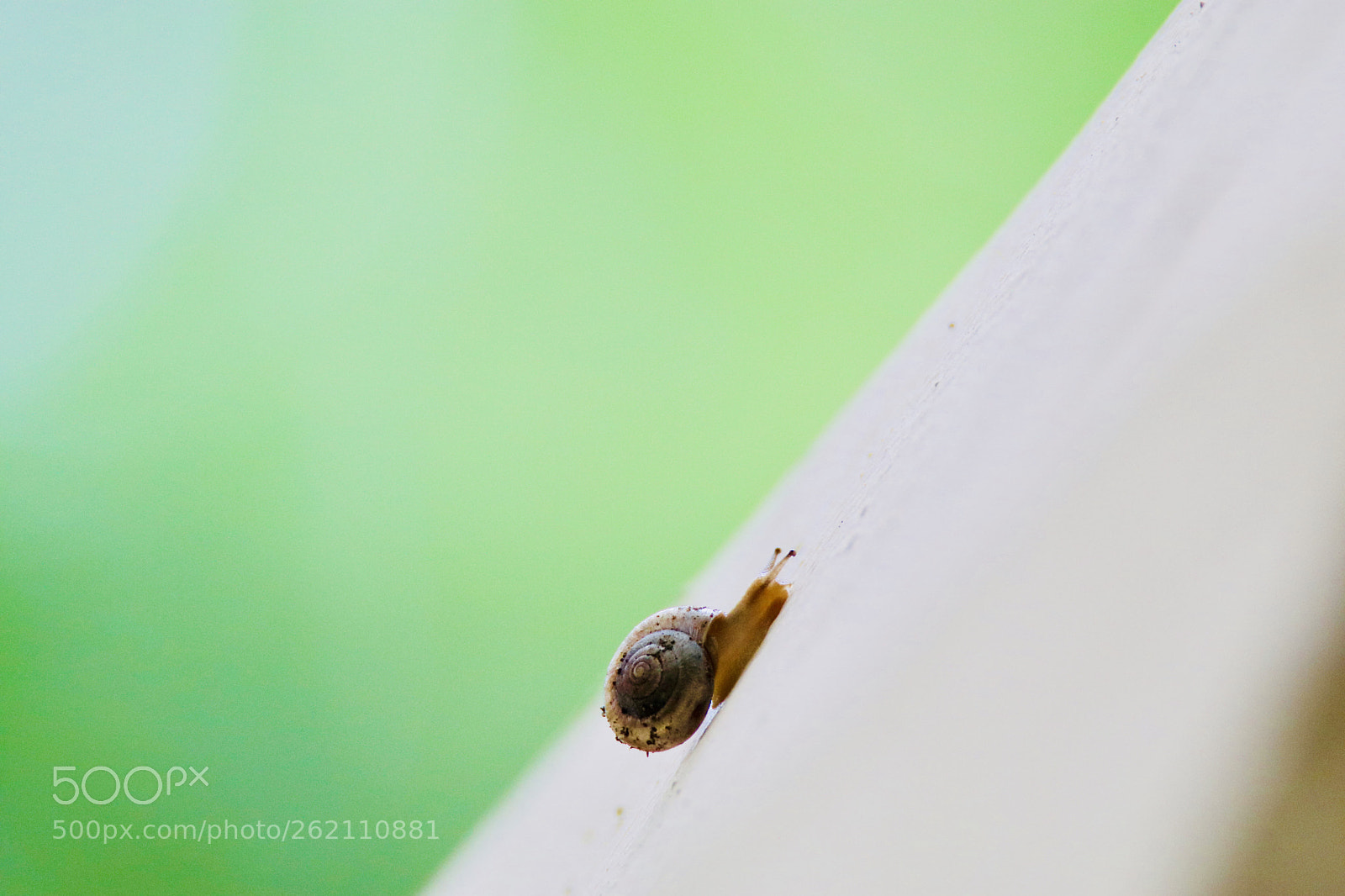 Canon EOS 80D sample photo. 勇攀be brave to climb photography
