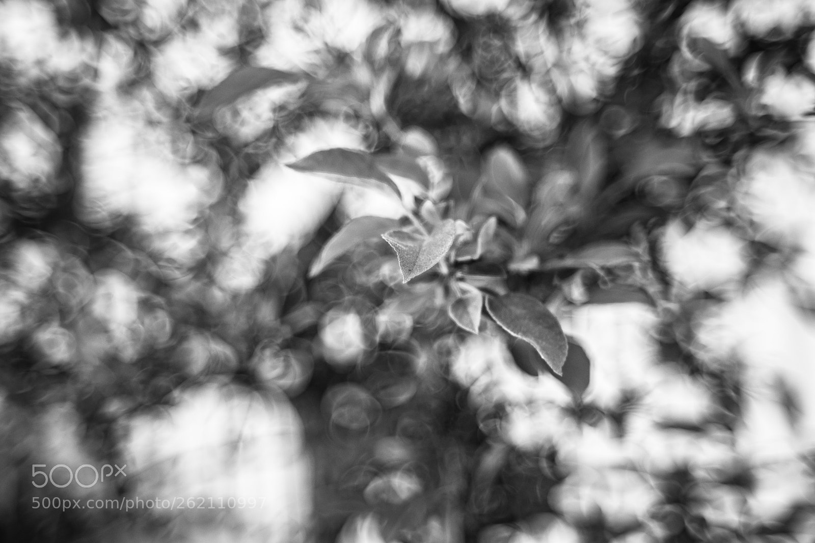 Fujifilm X-T20 sample photo. Vintage bokeh photography