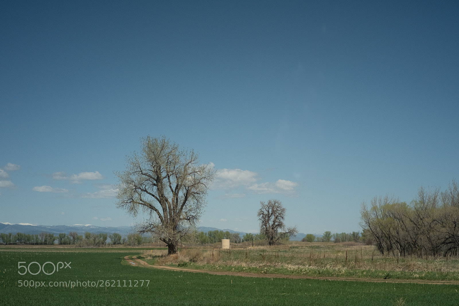 Fujifilm X-H1 sample photo. Road view, co photography