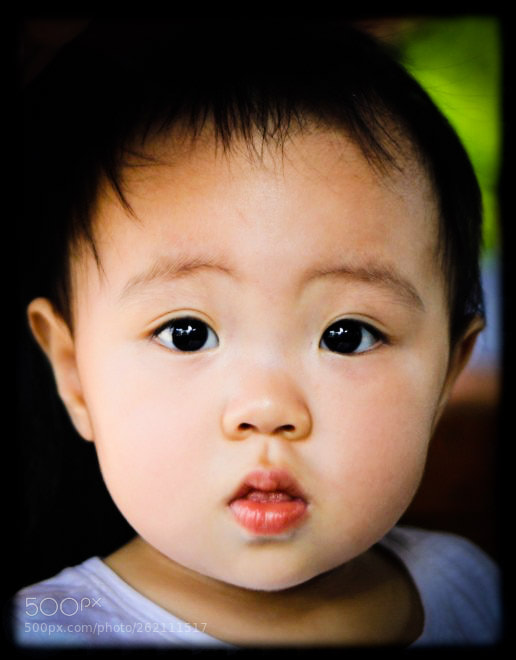 Canon EOS 5D Mark IV sample photo. Untitled photography