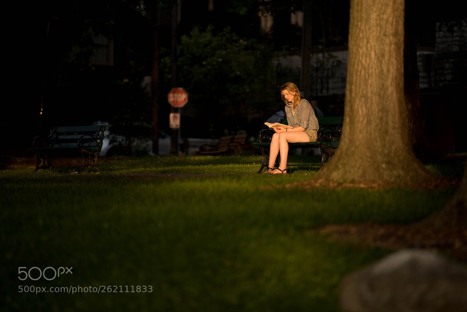 Nikon D810 sample photo. Untitled photography