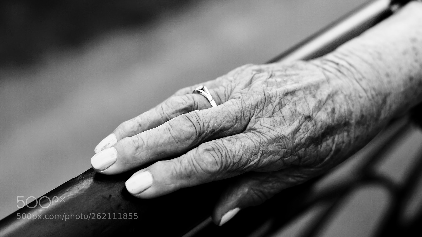 Sony SLT-A58 sample photo. A lifetime ring photography