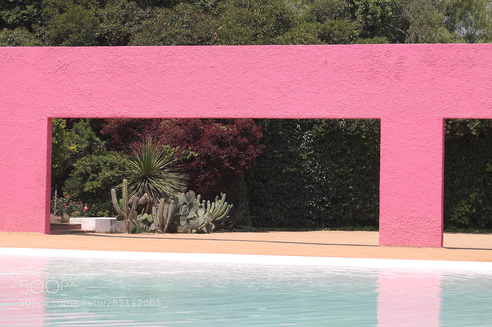 Canon EF 75-300mm f/4-5.6 sample photo. Img photography