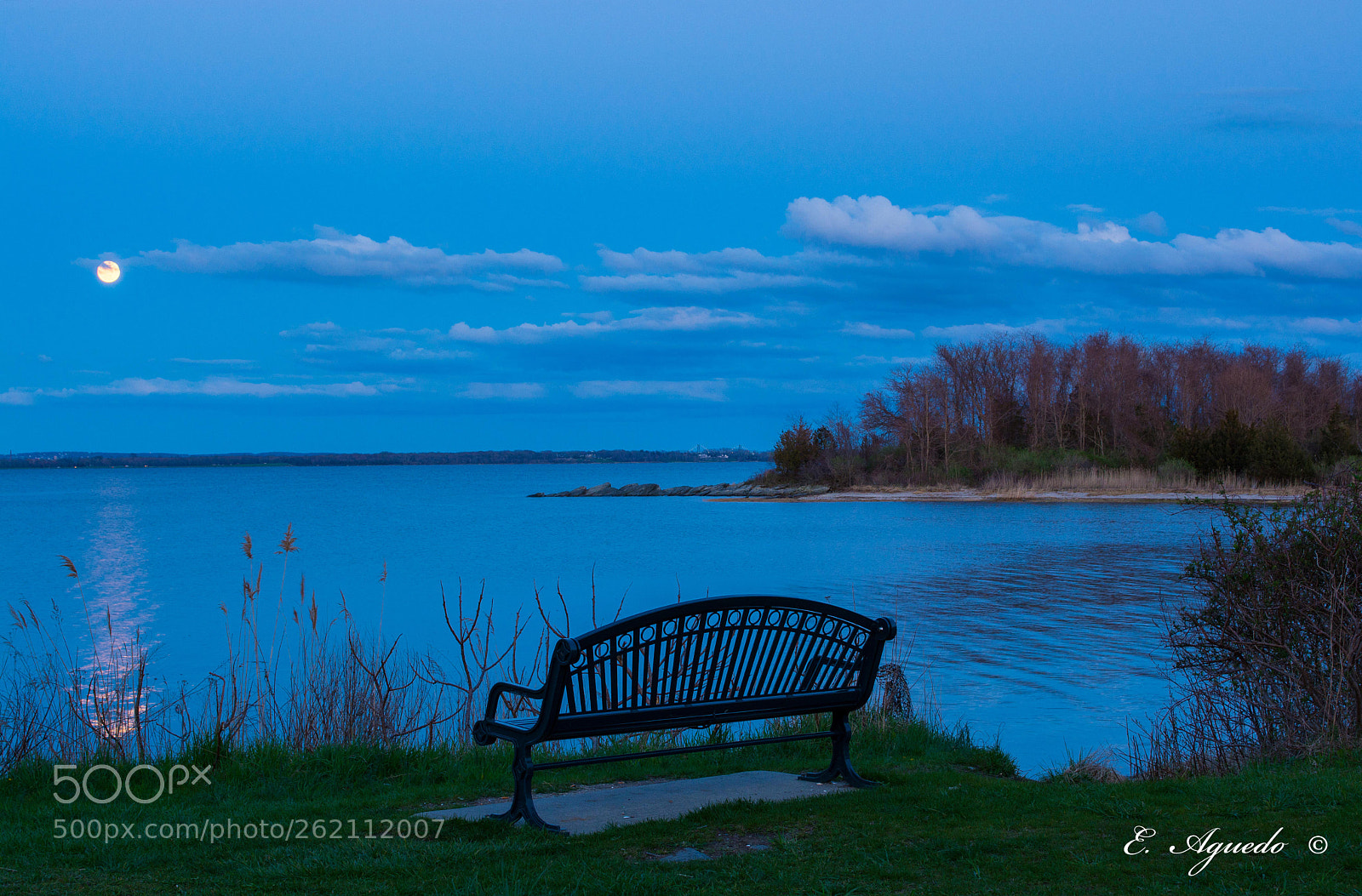 Nikon D5200 sample photo. Bench photography