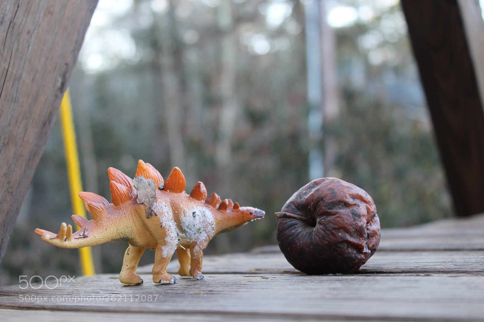 Canon EOS 1300D (EOS Rebel T6 / EOS Kiss X80) sample photo. Extinction  photography
