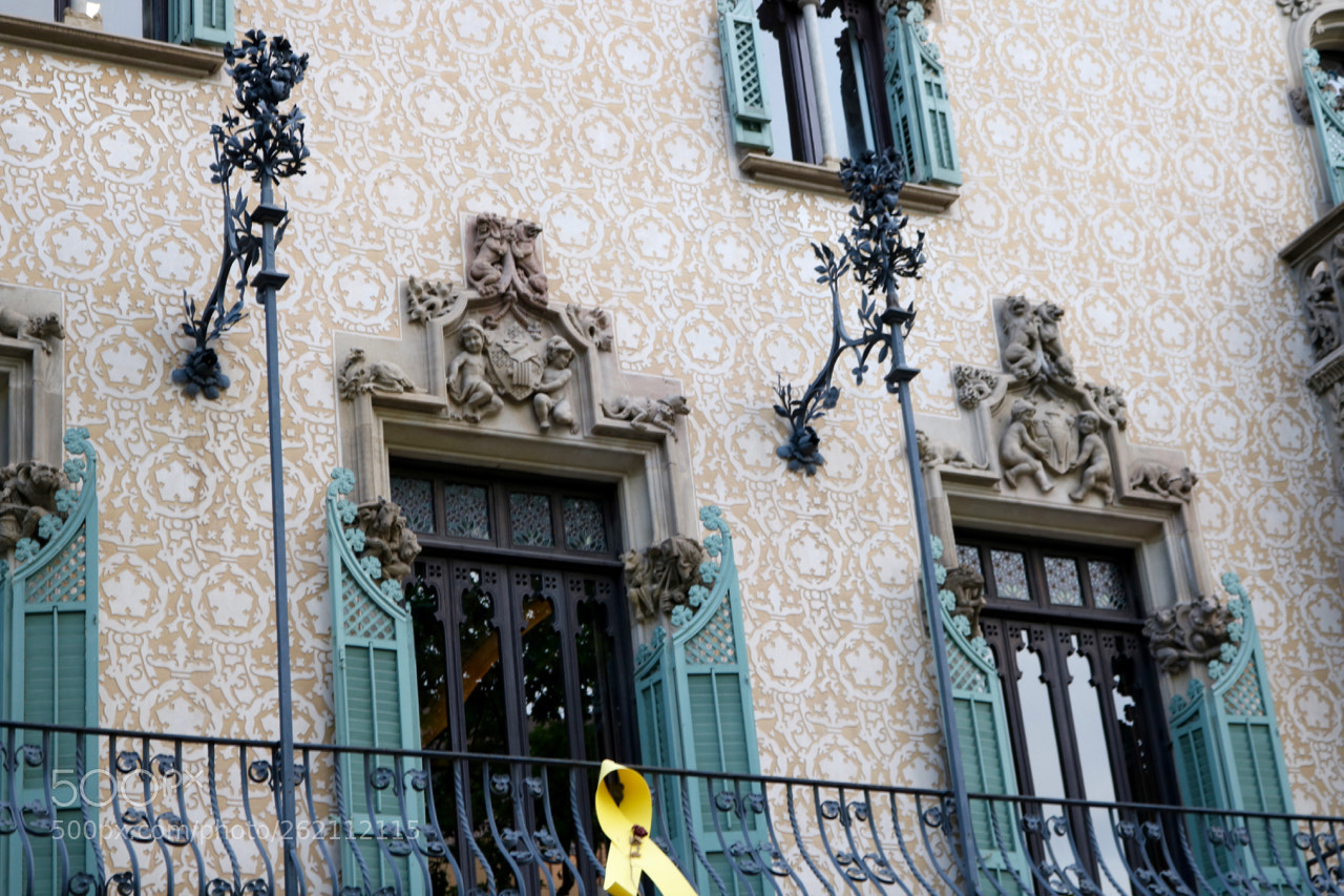 Canon EOS 750D (EOS Rebel T6i / EOS Kiss X8i) sample photo. Barcelona windows photography