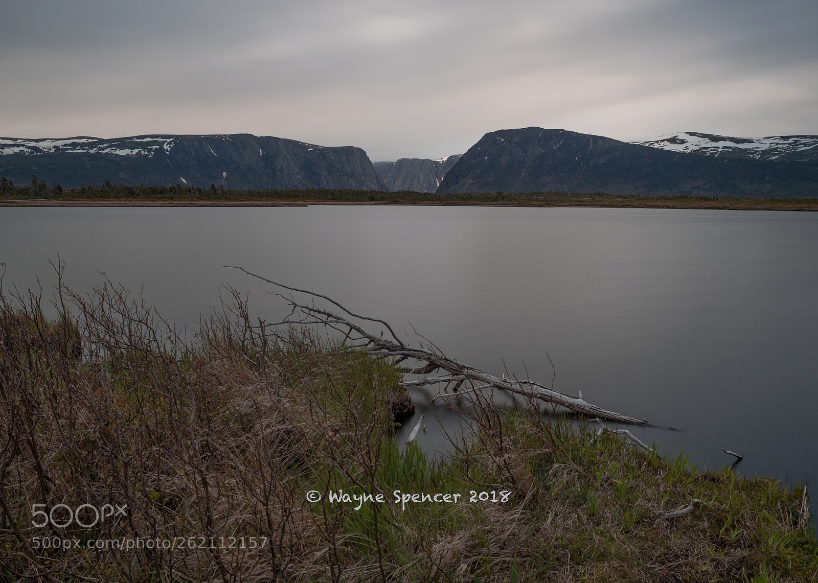 Canon EOS-1D X Mark II sample photo. Western brook at dusk photography