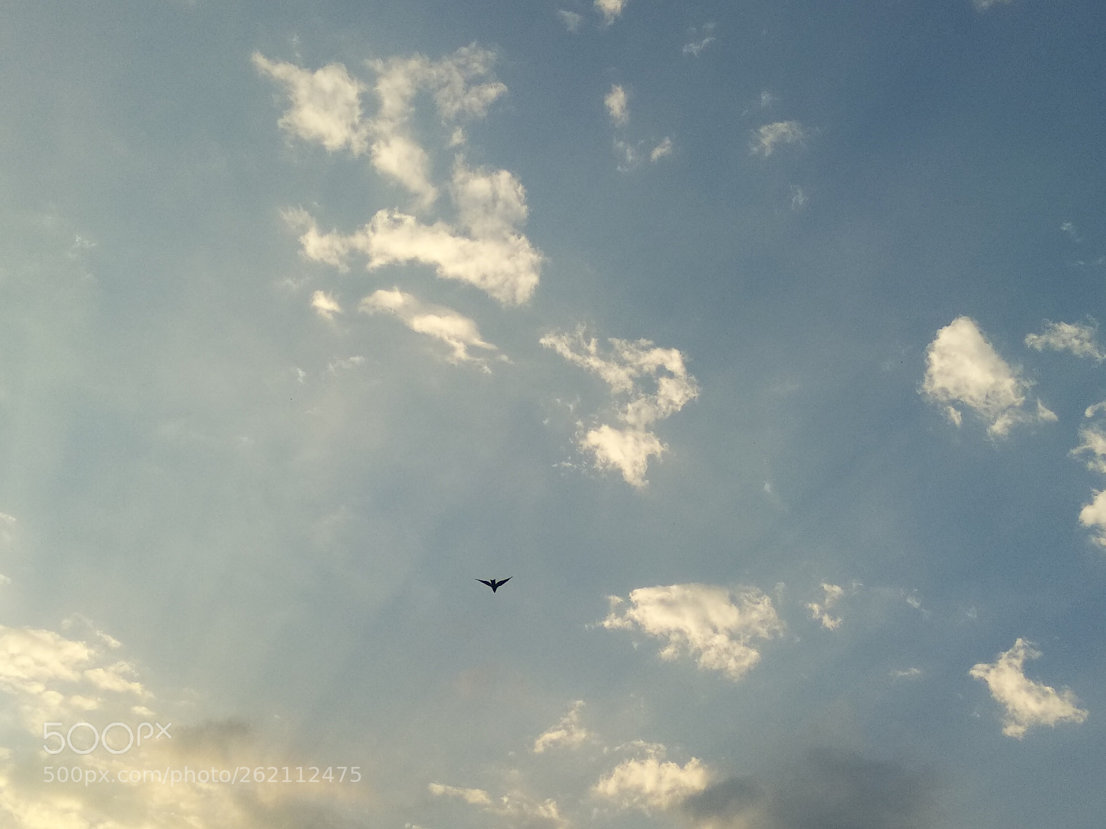 Xiaomi Redmi Note 5 sample photo. Morning sunrise photography