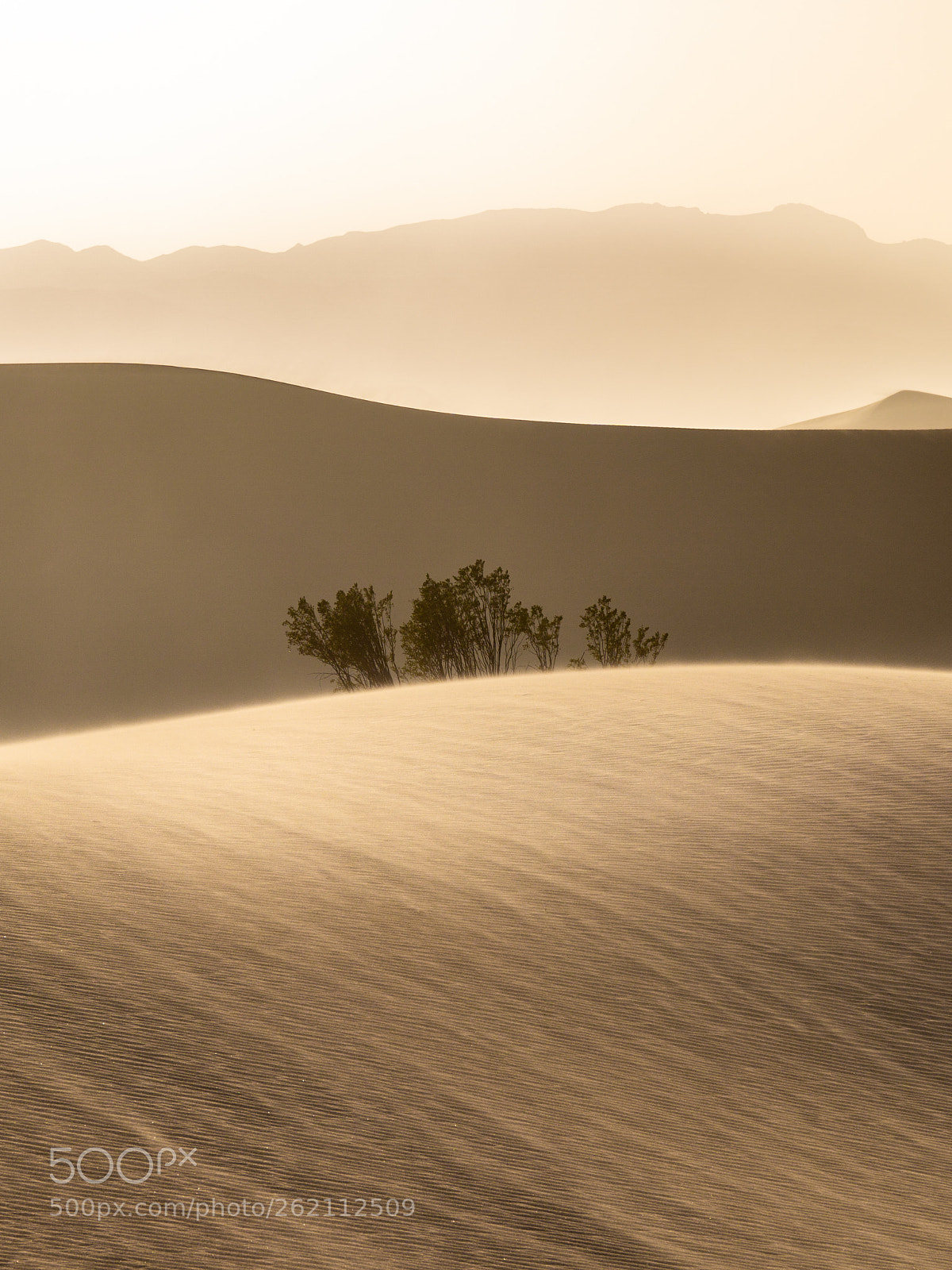 Sony a6000 sample photo. Desert or disaster photography