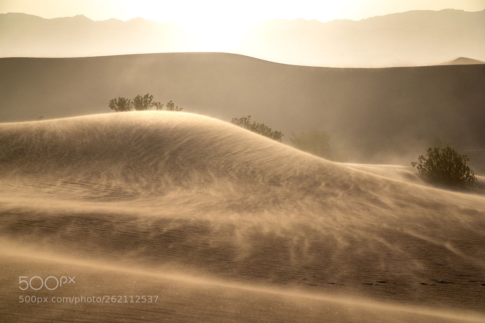 Sony a6000 sample photo. Desert or disaster photography