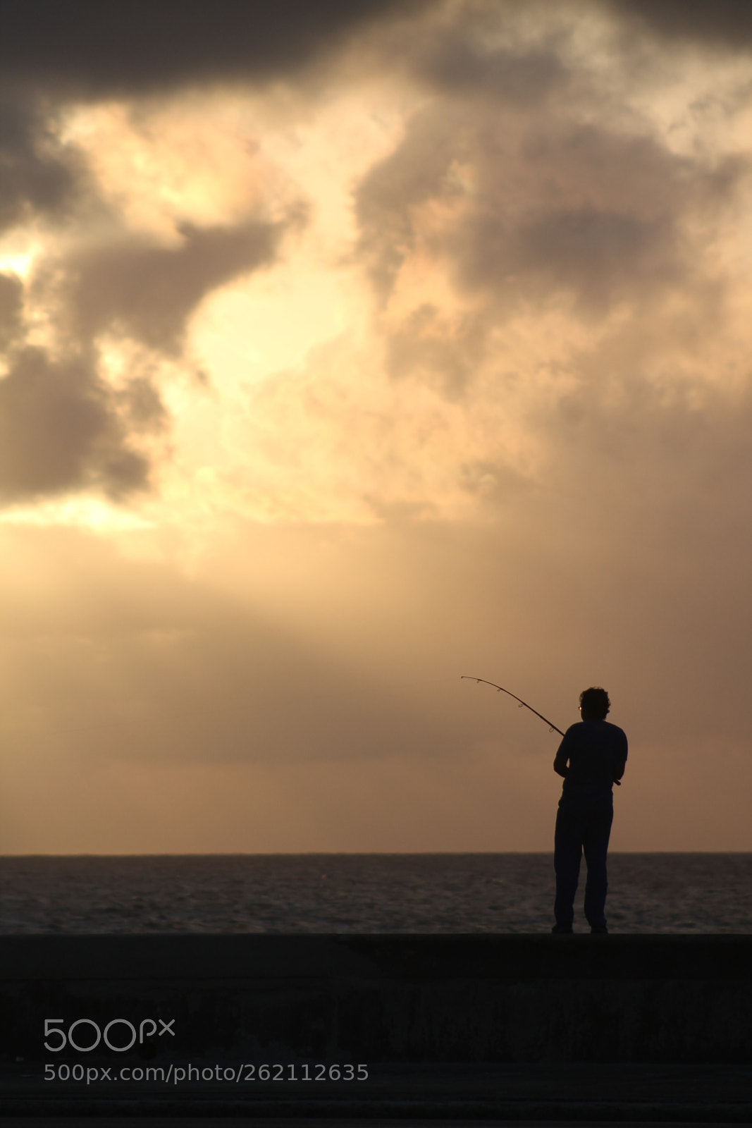 Canon EF 75-300mm f/4-5.6 sample photo. Img photography