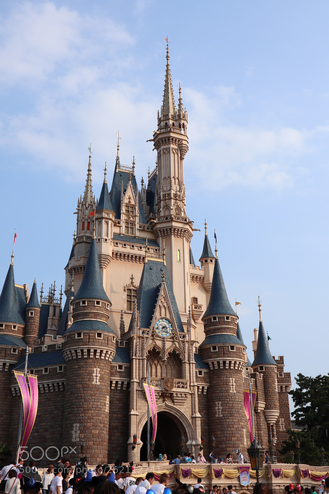 Canon EOS M100 sample photo. Tokyo disneyland photography