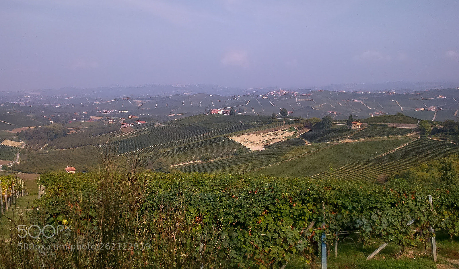 Sony Xperia M2 sample photo. Pre wine photography