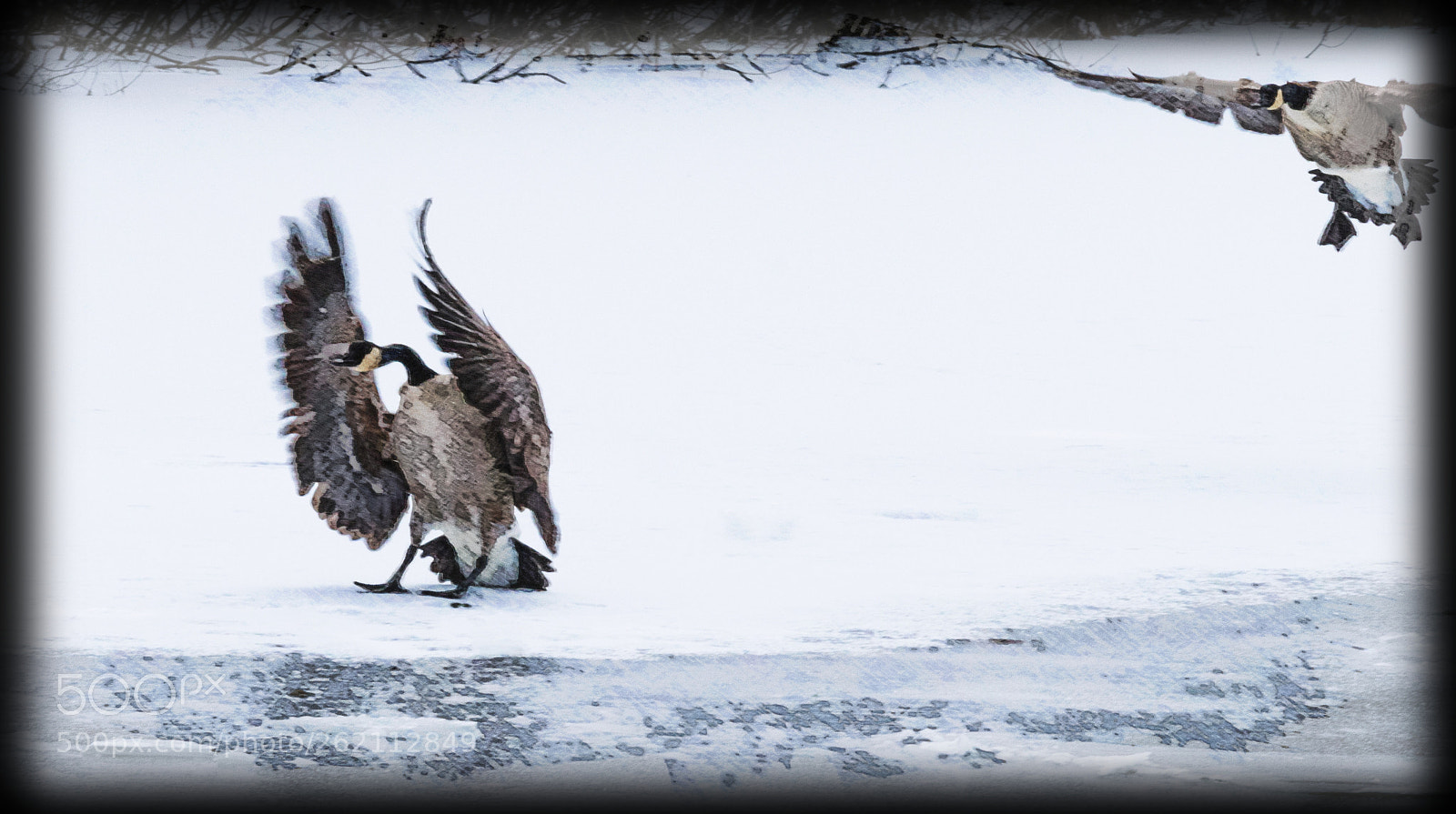 Nikon D3300 sample photo. Abort landing abort landing photography
