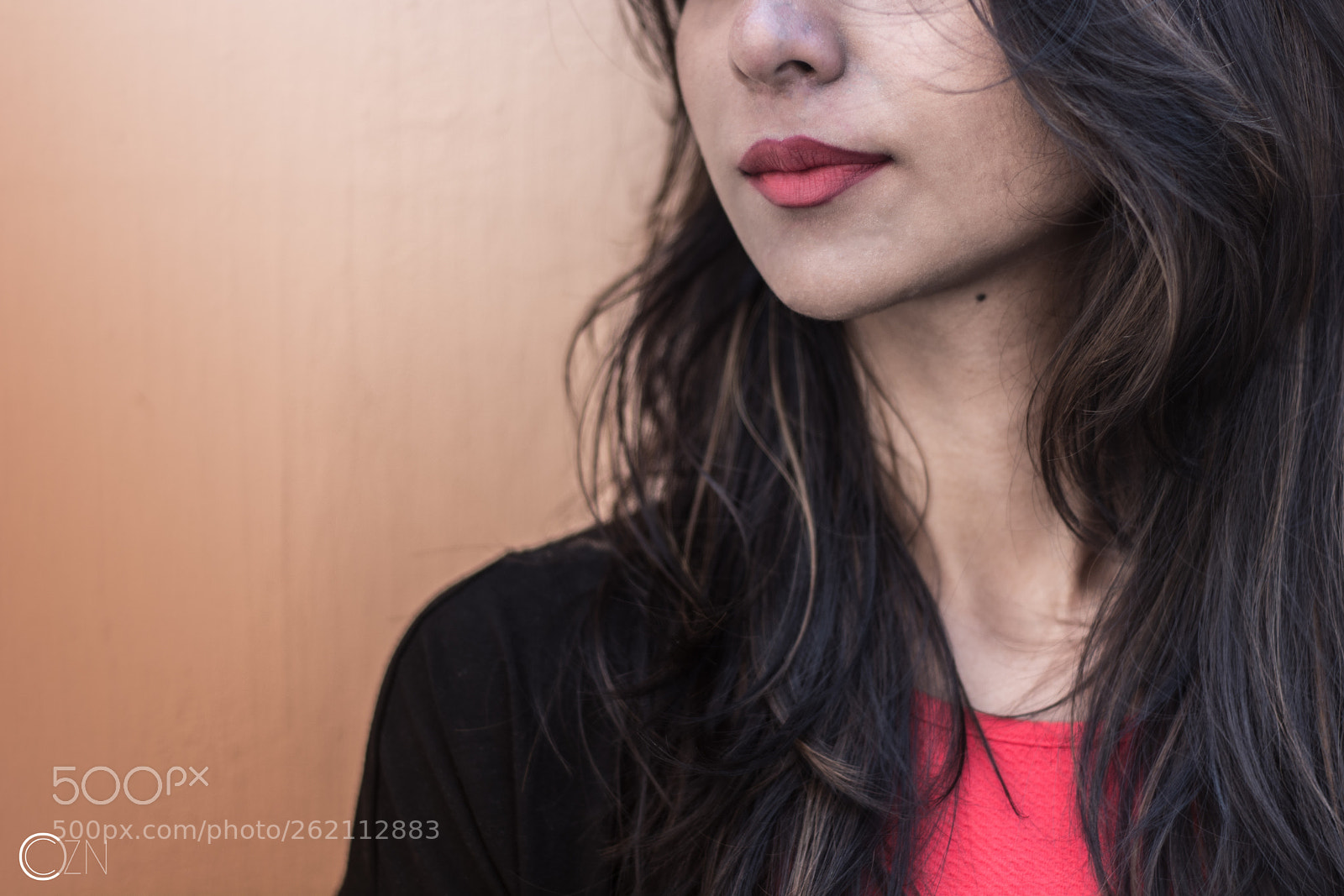 Nikon D7100 sample photo. Loose lips, sink ships. photography