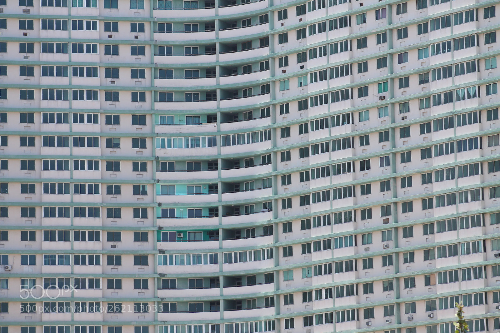 Canon EF 75-300mm f/4-5.6 sample photo. Img photography