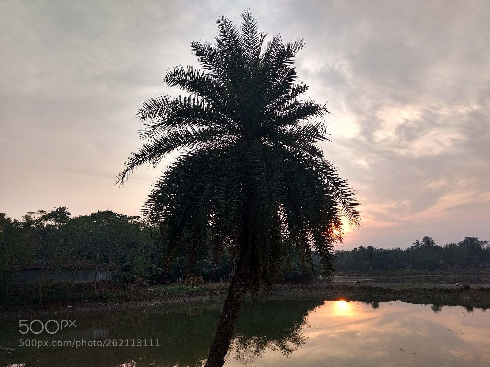 Motorola Moto G (4) sample photo. The beautiful sunrise images photography