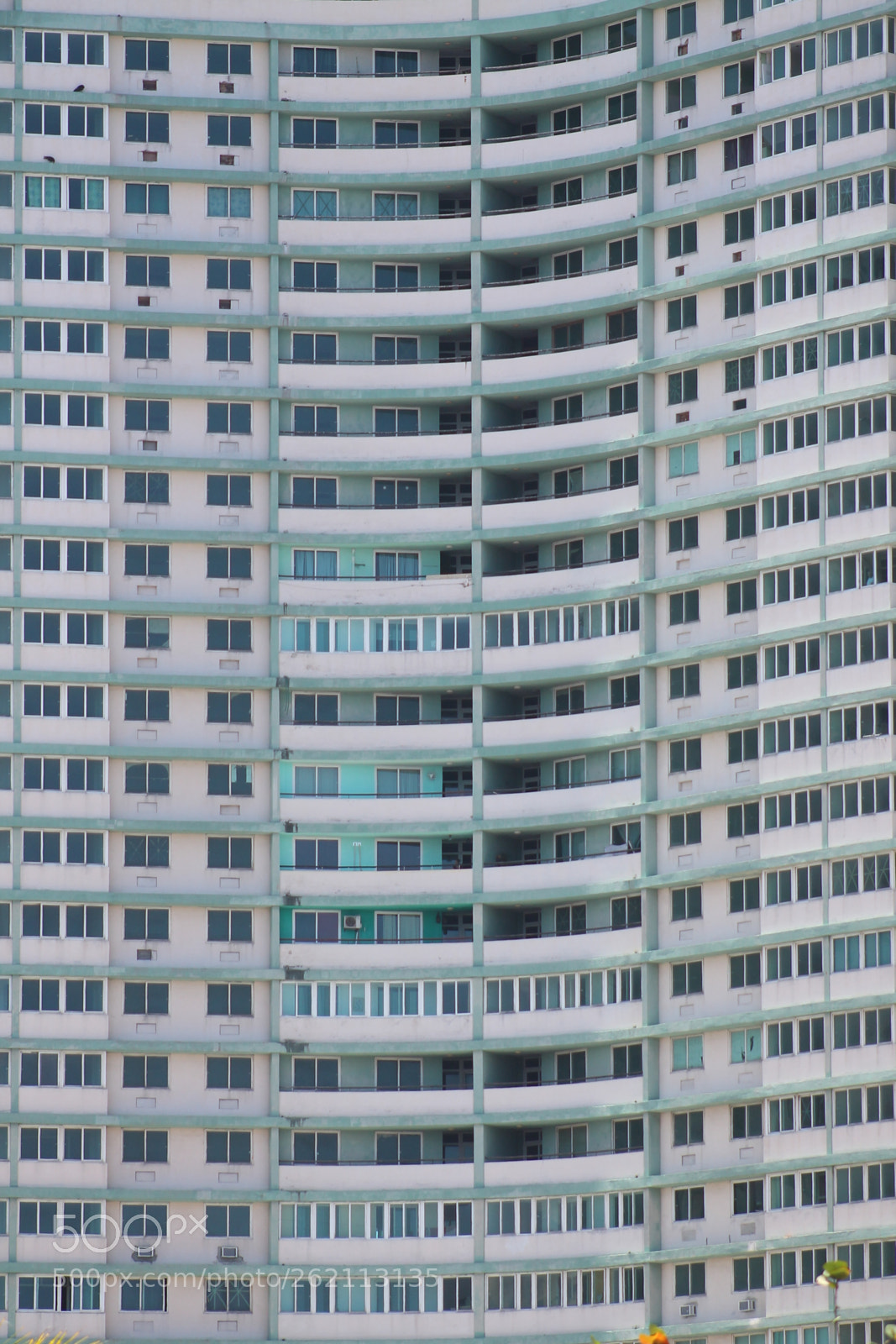 Canon EF 75-300mm f/4-5.6 sample photo. Img photography