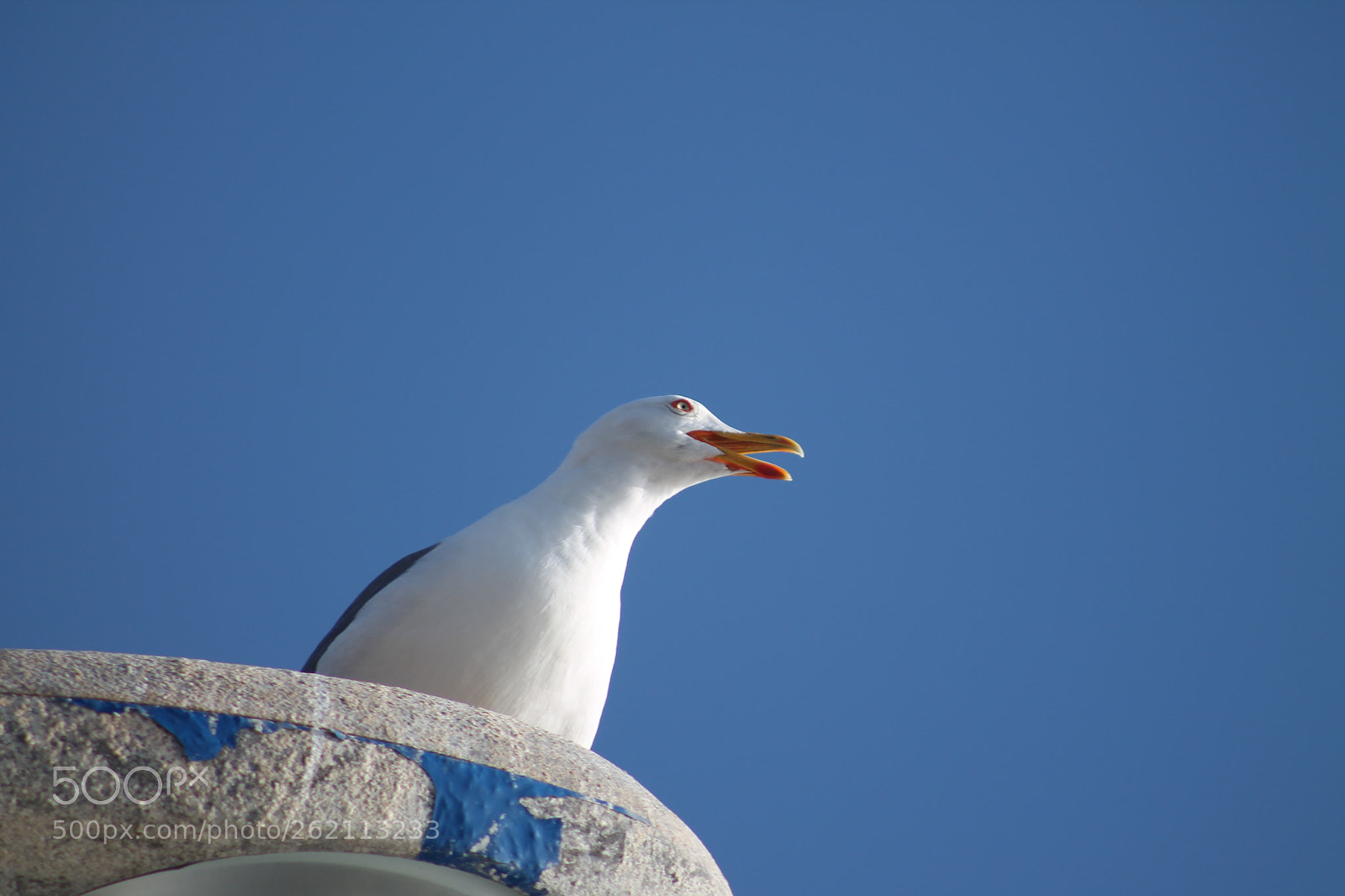 Canon EF 75-300mm f/4-5.6 sample photo. Img photography