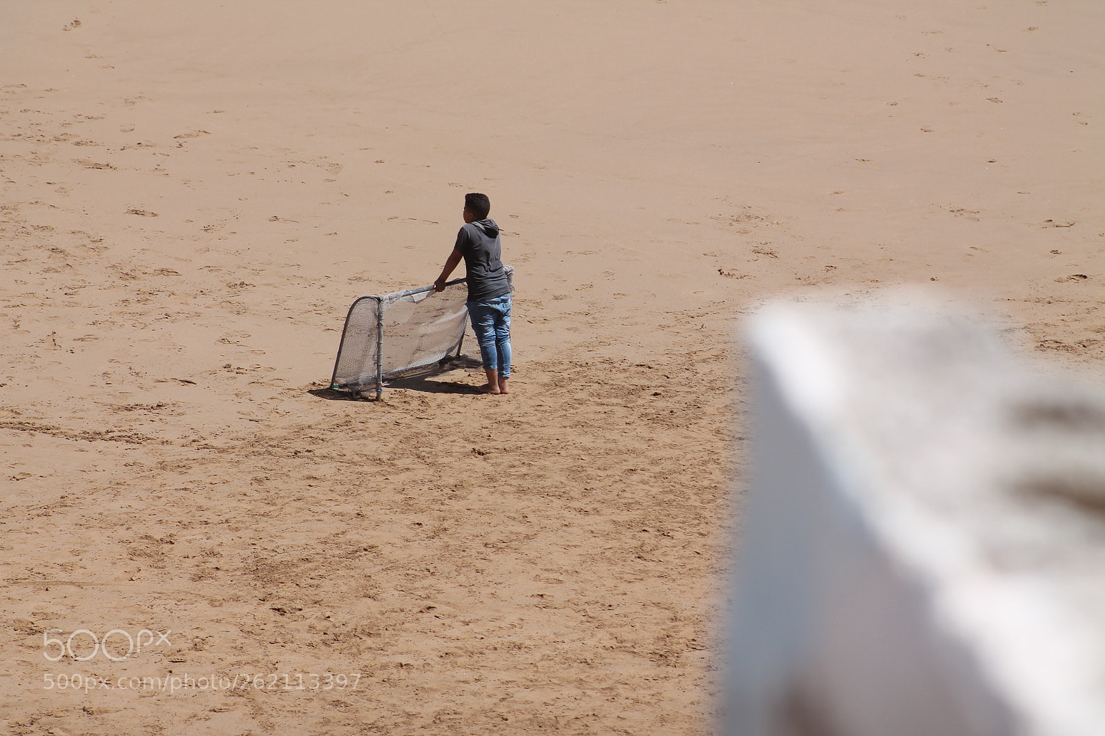 Canon EF 75-300mm f/4-5.6 sample photo. Img photography