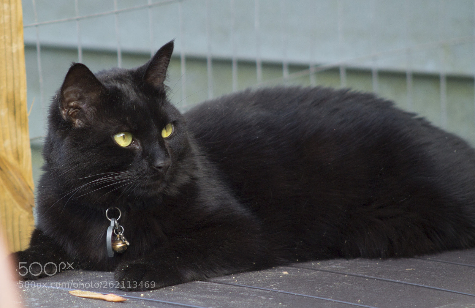 Canon EOS 1100D (EOS Rebel T3 / EOS Kiss X50) sample photo. Img photography
