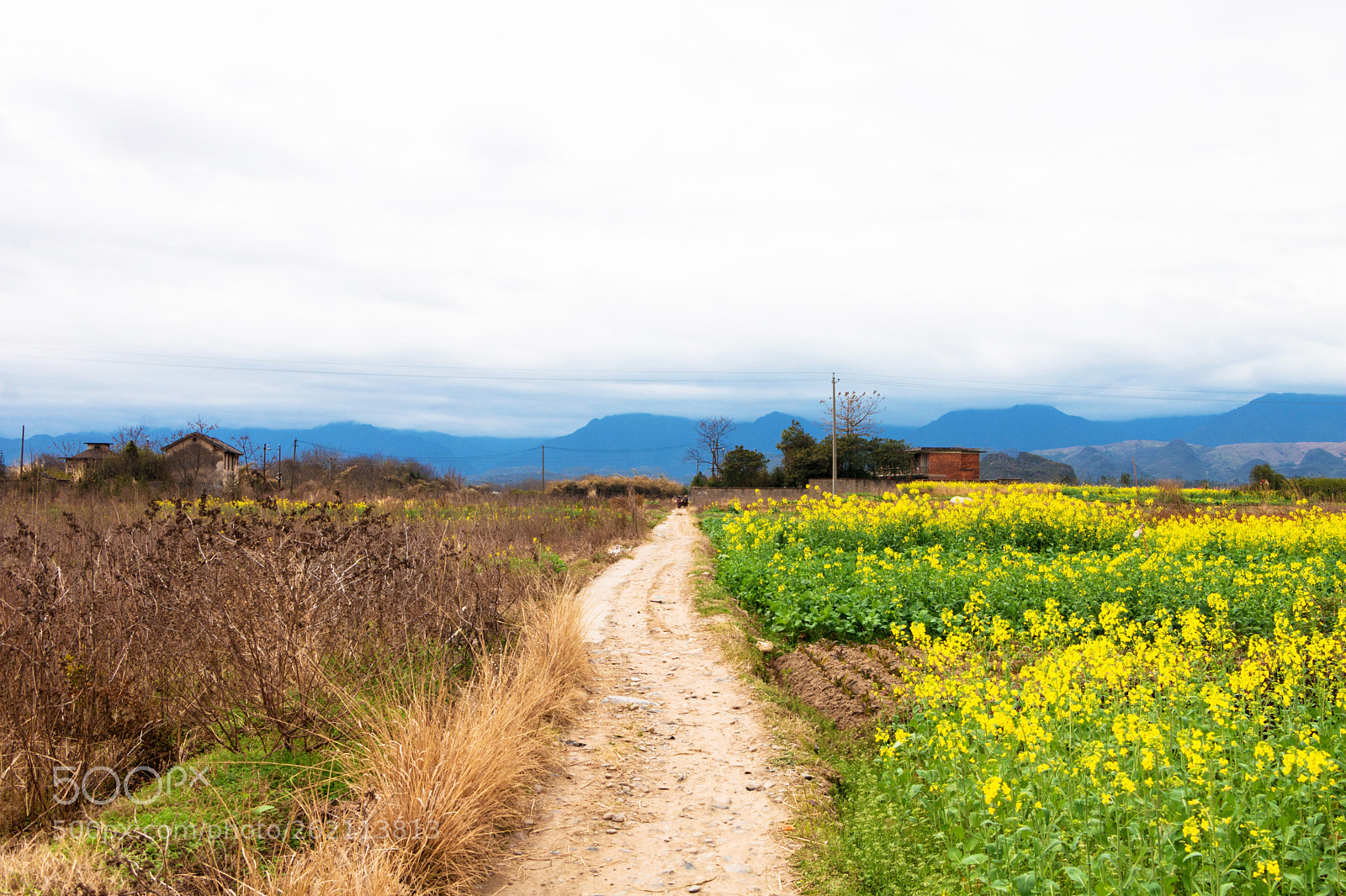 Canon EOS 70D sample photo. Countryroad photography