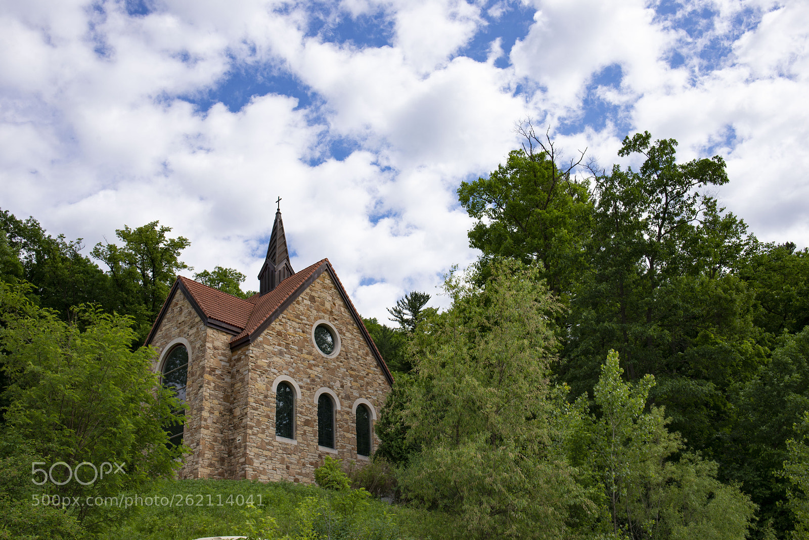 Nikon D610 sample photo. Reaching for the heavens photography