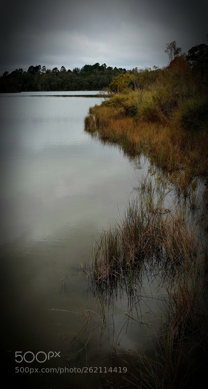 Samsung Galaxy S9+ sample photo. Lake shore1 photography