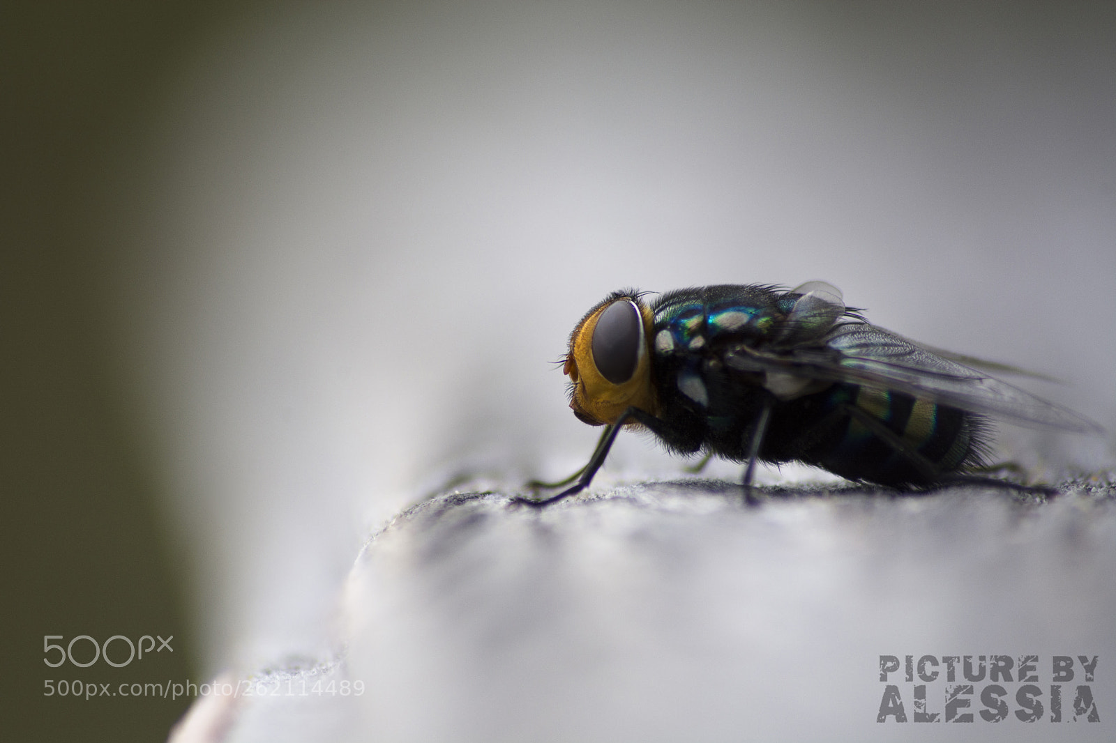Nikon D7100 sample photo. For viewing only. photography