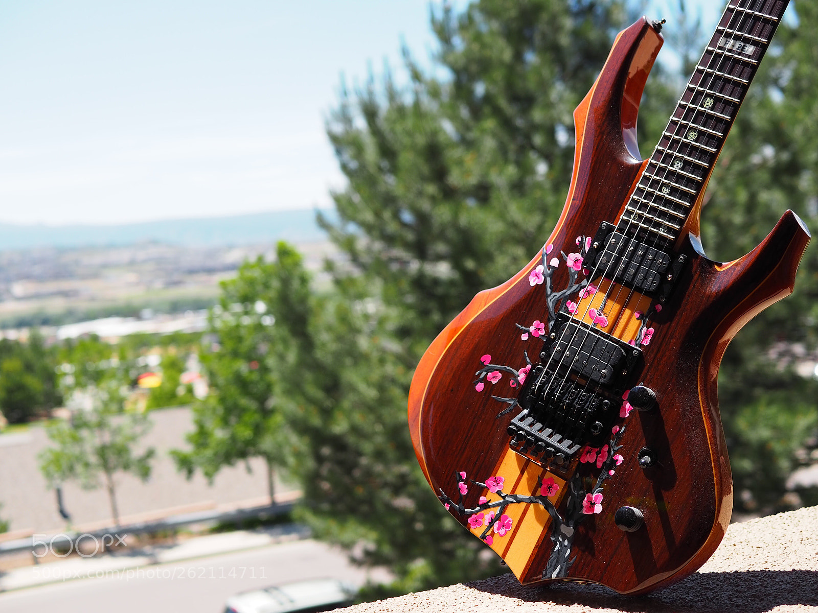 Olympus OM-D E-M10 III sample photo. Painted by hco guitars photography
