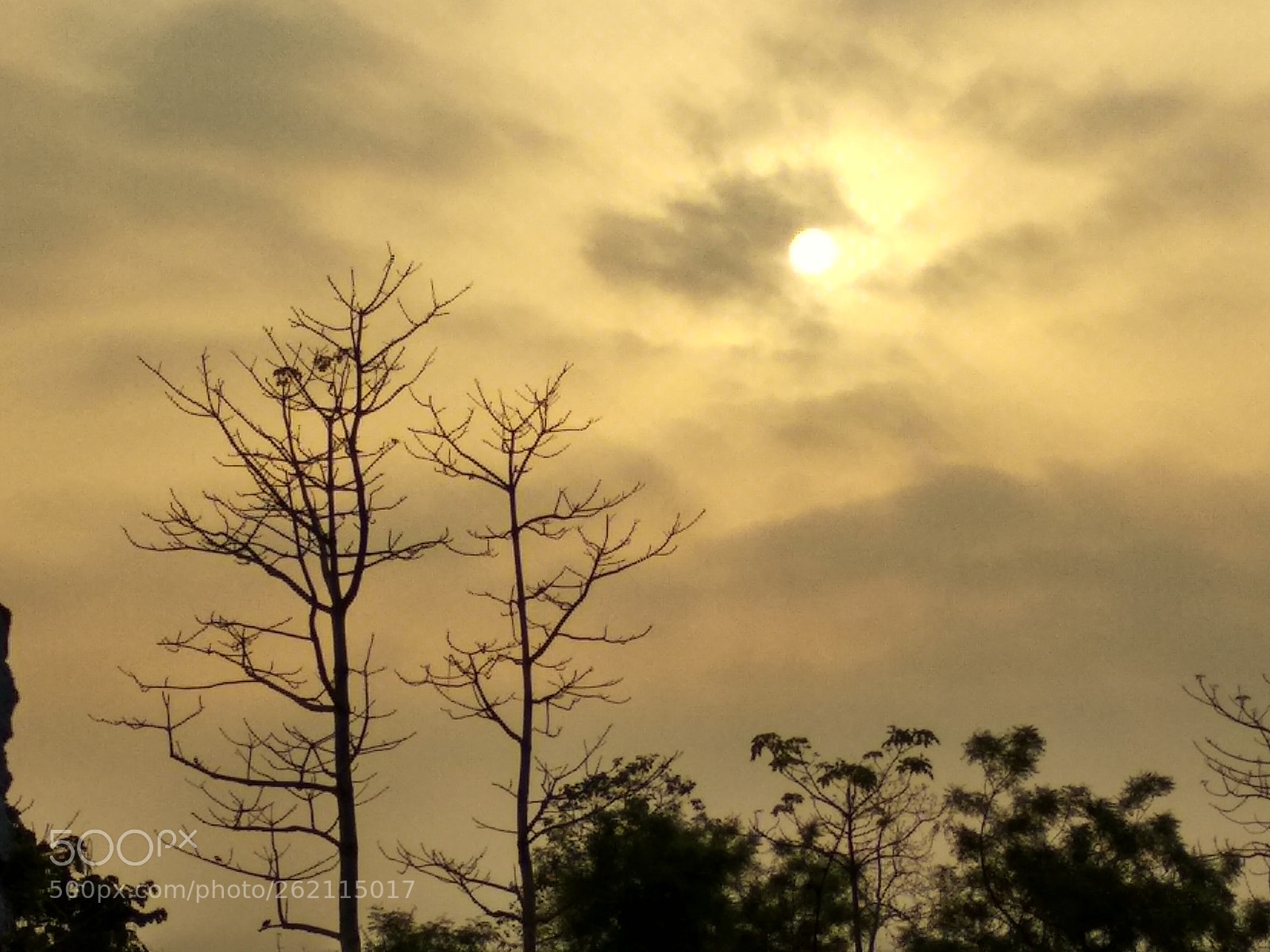 Xiaomi Redmi Note 5 sample photo. Untitled photography