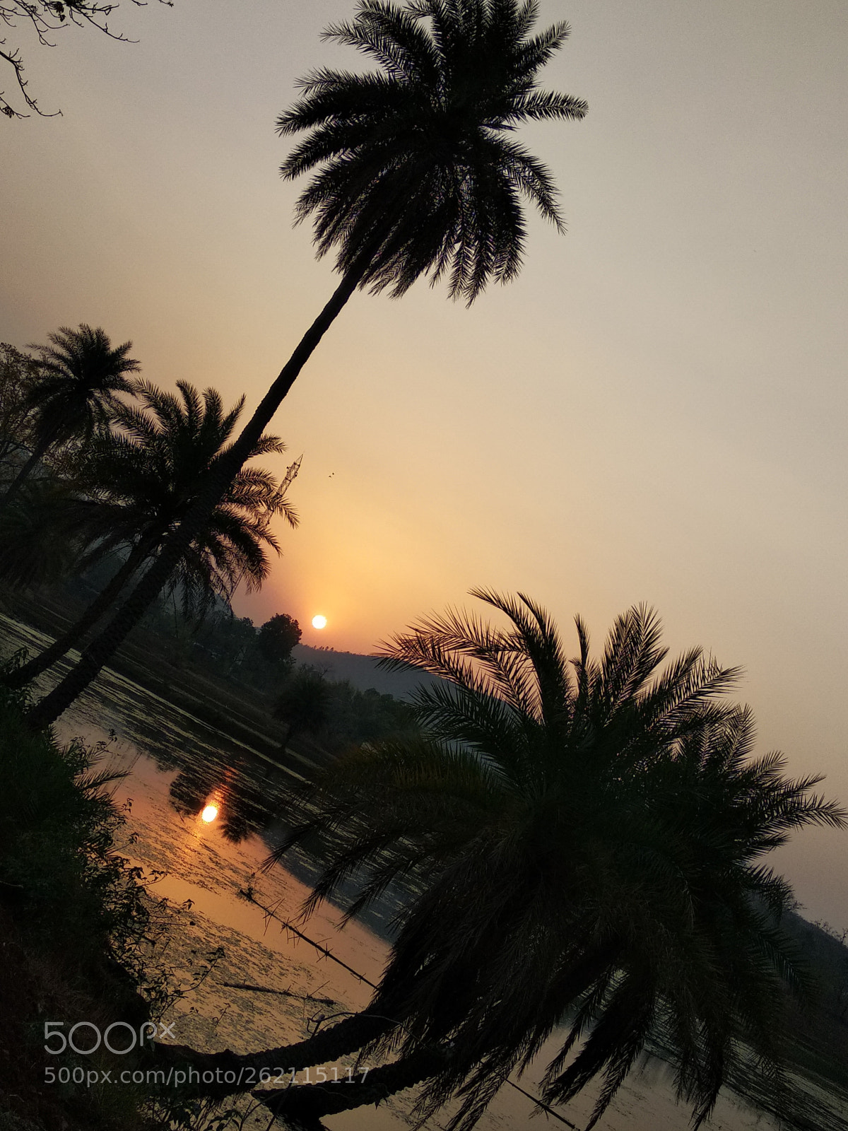 Xiaomi Redmi Note 5 sample photo. Untitled photography