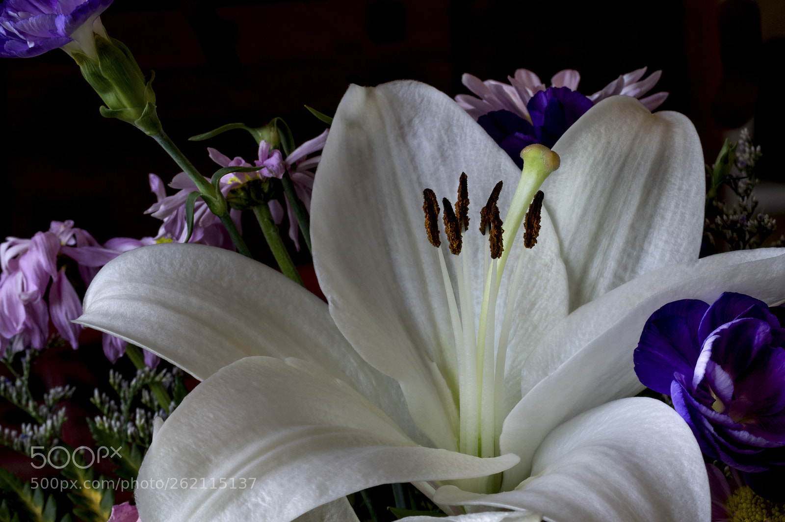 Pentax K-3 sample photo. Emergence in white photography