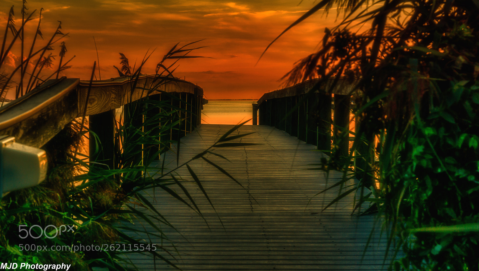 Sony a6000 sample photo. Walkway of color photography