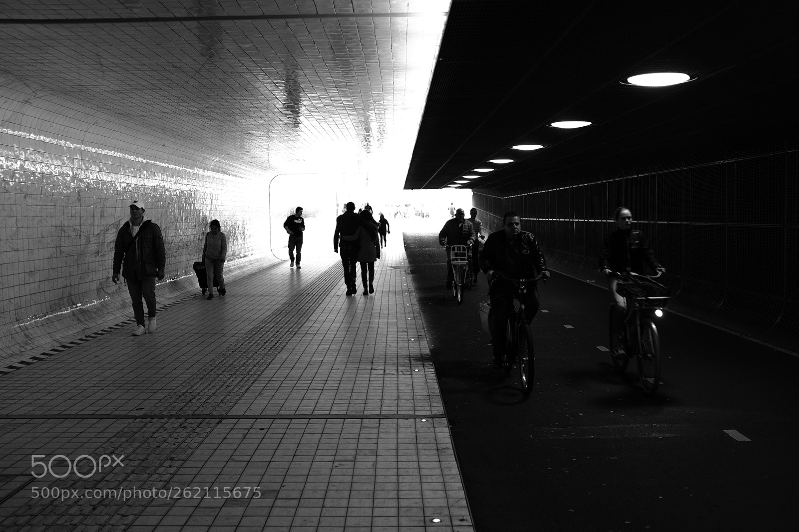Fujifilm X100F sample photo. Untitled photography