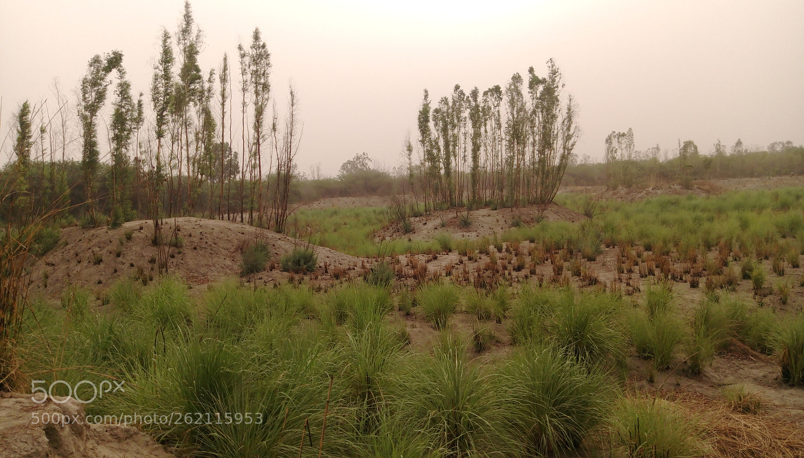 HTC DESIRE 828 DUAL SIM sample photo. Untitled photography