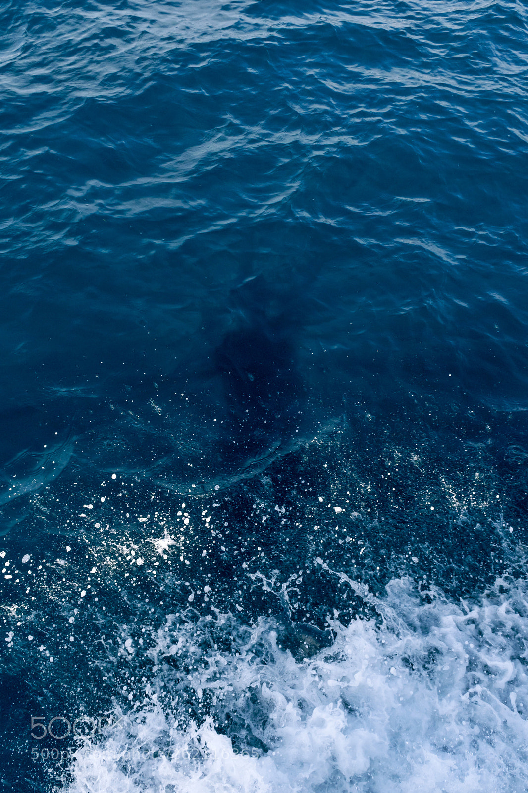 Nikon D5600 sample photo. Shadow in the sea photography