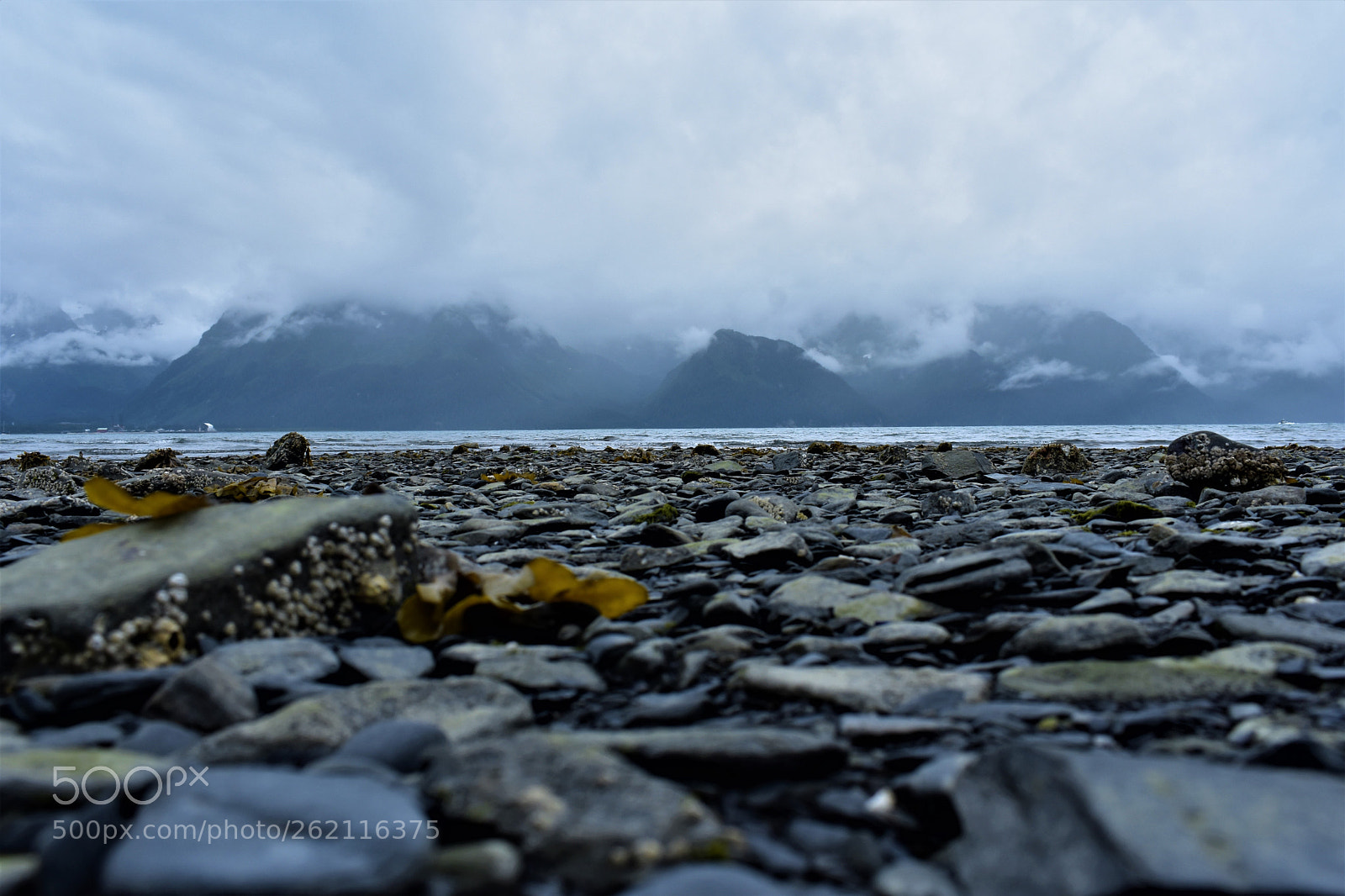 Nikon D3400 sample photo. The ocean photography